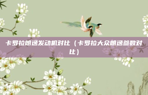 卡罗拉朗逸发动机对比（卡罗拉大众朗逸参数对比）