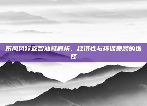 东风风行菱智油耗解析,经济性与环保兼顾的选择
