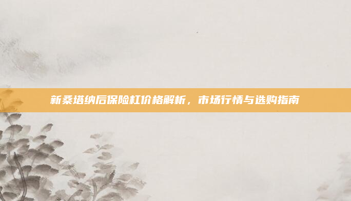 新桑塔纳后保险杠价格解析,市场行情与选购指南