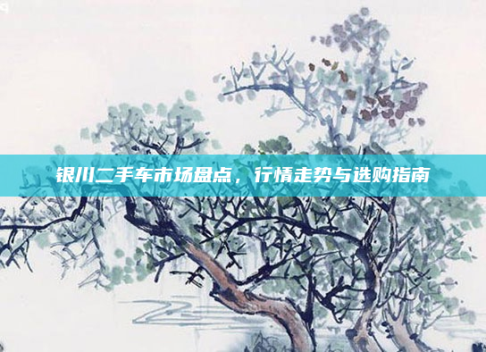 银川二手车市场盘点,行情走势与选购指南