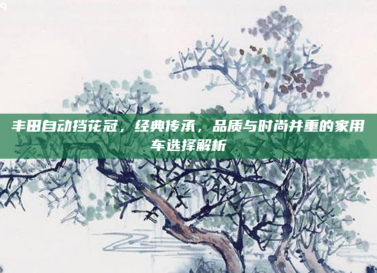 丰田自动挡花冠,经典传承,品质与时尚并重的家用车选择解析