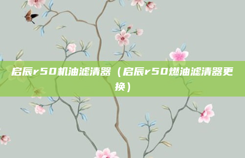 启辰r50机油滤清器（启辰r50燃油滤清器更换）