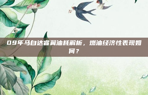 09年马自达睿翼油耗解析，燃油经济性表现如何？