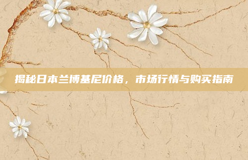 揭秘日本兰博基尼价格，市场行情与购买指南
