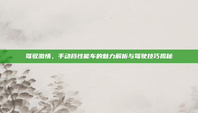 驾驭激情，手动档性能车的魅力解析与驾驶技巧揭秘