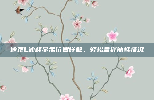 途观L油耗显示位置详解，轻松掌握油耗情况