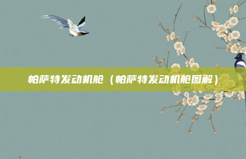 帕萨特发动机舱(帕萨特发动机舱图解)