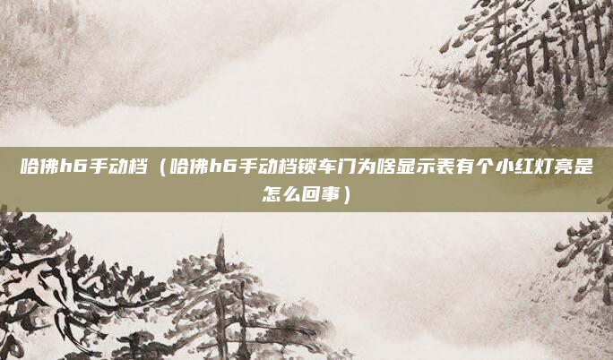哈佛h6手动档（哈佛h6手动档锁车门为啥显示表有个小红灯亮是怎么回事）