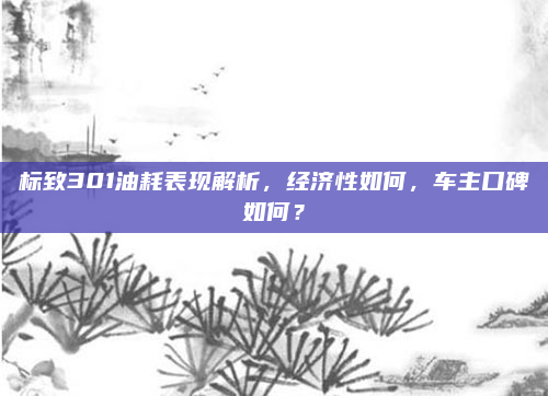 标致301油耗表现解析,经济性如何,车主口碑如何?