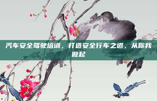 汽车安全驾驶培训,打造安全行车之道,从你我做起