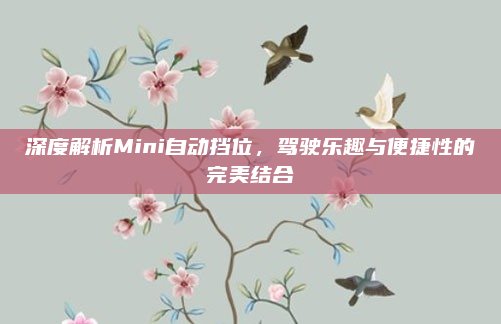 深度解析Mini自动挡位，驾驶乐趣与便捷性的完美结合