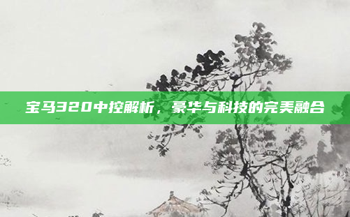 宝马320中控解析,豪华与科技的完美融合