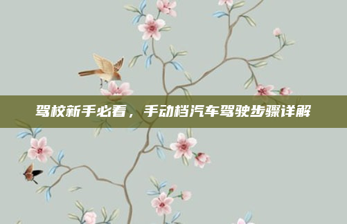 驾校新手必看,手动档汽车驾驶步骤详解