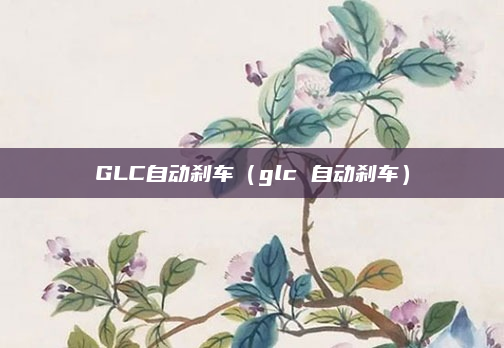 GLC自动刹车(glc 自动刹车)