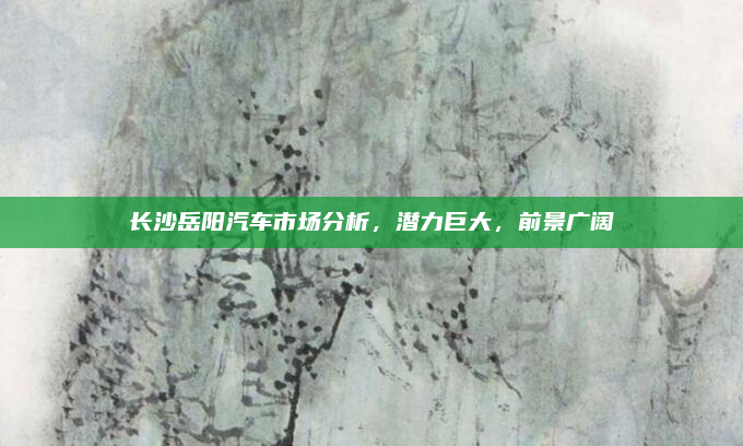 长沙岳阳汽车市场分析,潜力巨大,前景广阔