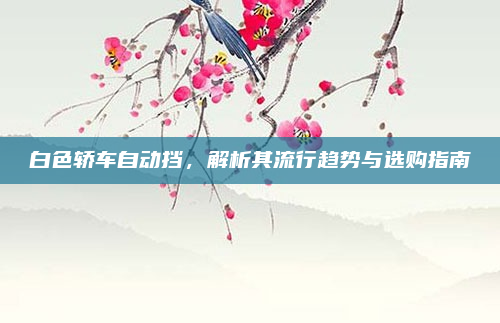 白色轿车自动挡，解析其流行趋势与选购指南