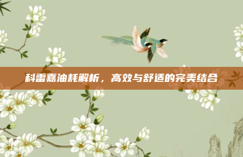 科雷嘉油耗解析，高效与舒适的完美结合