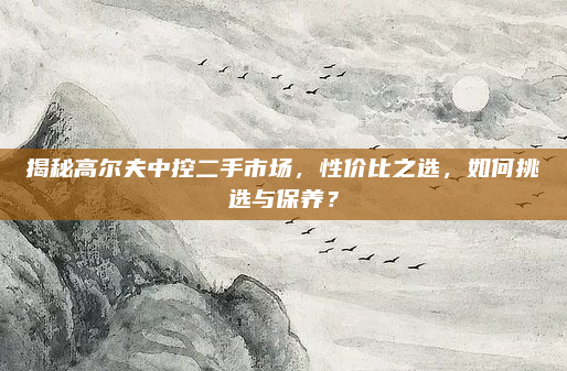 揭秘高尔夫中控二手市场，性价比之选，如何挑选与保养？
