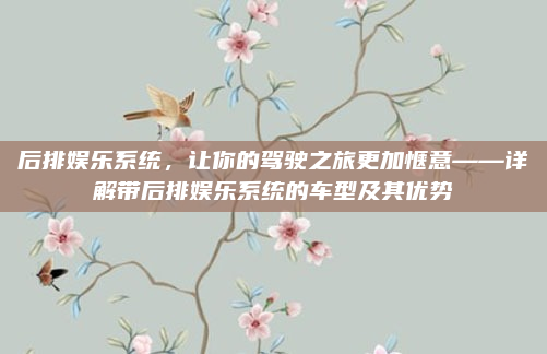 后排娱乐系统，让你的驾驶之旅更加惬意——详解带后排娱乐系统的车型及其优势