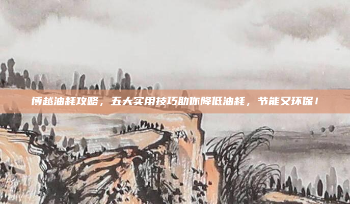 博越油耗攻略，五大实用技巧助你降低油耗，节能又环保！