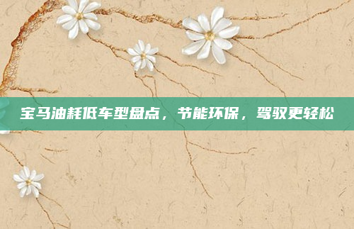 宝马油耗低车型盘点，节能环保，驾驭更轻松