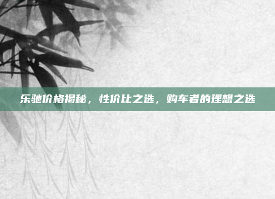 乐驰价格揭秘，性价比之选，购车者的理想之选