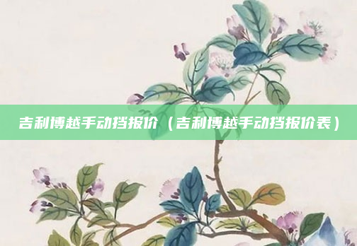 吉利博越手动挡报价(吉利博越手动挡报价表)