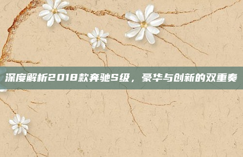 深度解析2018款奔驰S级,豪华与创新的双重奏