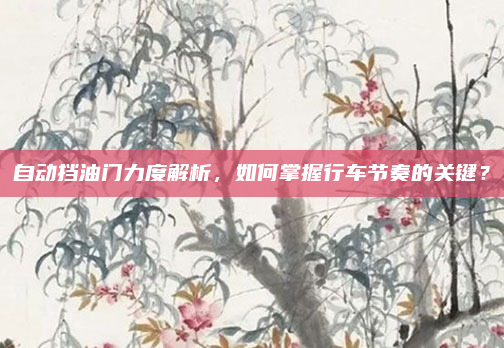 自动挡油门力度解析，如何掌握行车节奏的关键？