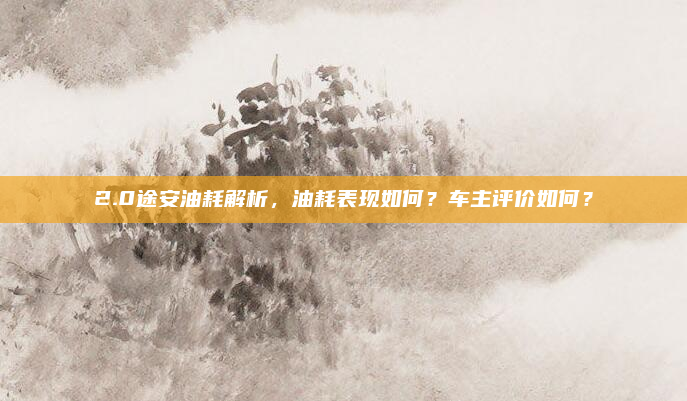 2.0途安油耗解析，油耗表现如何？车主评价如何？