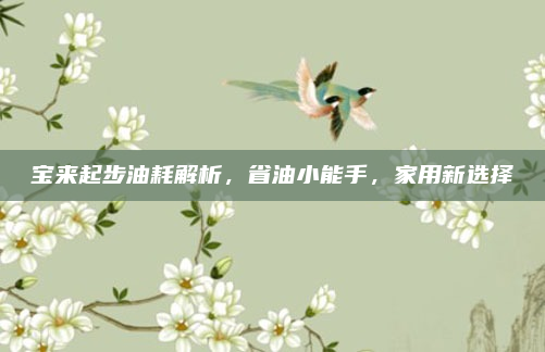宝来起步油耗解析，省油小能手，家用新选择