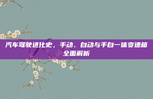 汽车驾驶进化史，手动、自动与手自一体变速箱全面解析