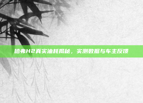 哈弗H2真实油耗揭秘，实测数据与车主反馈