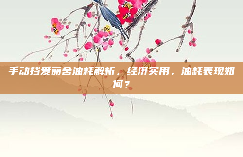 手动挡爱丽舍油耗解析，经济实用，油耗表现如何？