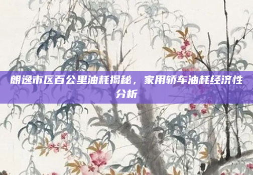 朗逸市区百公里油耗揭秘,家用轿车油耗经济性分析