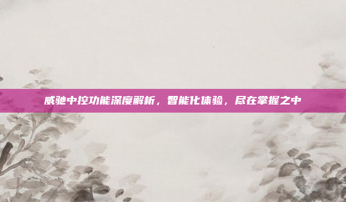 威驰中控功能深度解析,智能化体验,尽在掌握之中