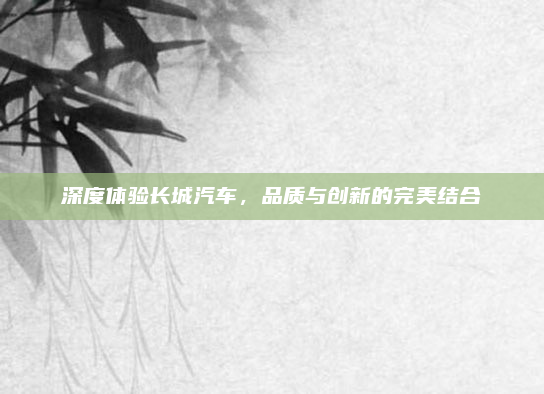 深度体验长城汽车，品质与创新的完美结合