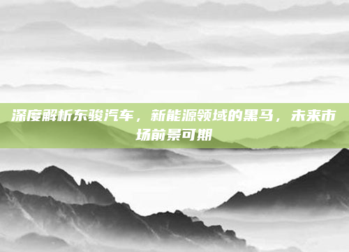深度解析东骏汽车,新能源领域的黑马,未来市场前景可期