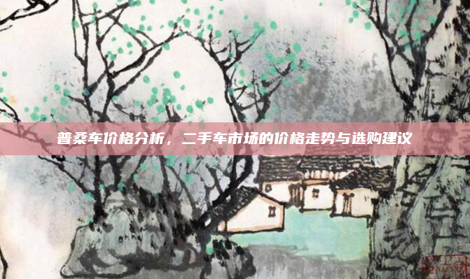 普桑车价格分析,二手车市场的价格走势与选购建议