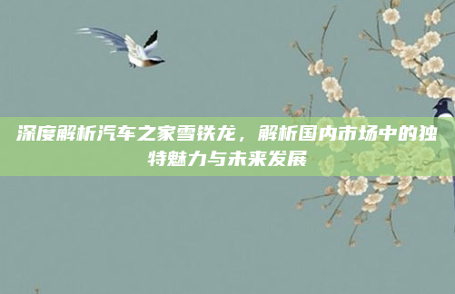 深度解析汽车之家雪铁龙，解析国内市场中的独特魅力与未来发展