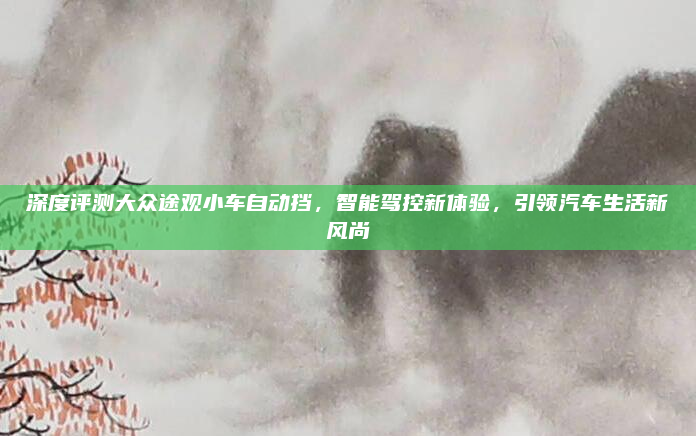 深度评测大众途观小车自动挡，智能驾控新体验，引领汽车生活新风尚