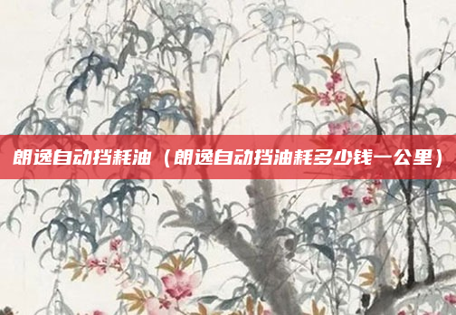 朗逸自动挡耗油（朗逸自动挡油耗多少钱一公里）