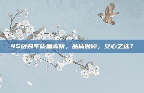 4S店购车质量解析,品质保障,安心之选?