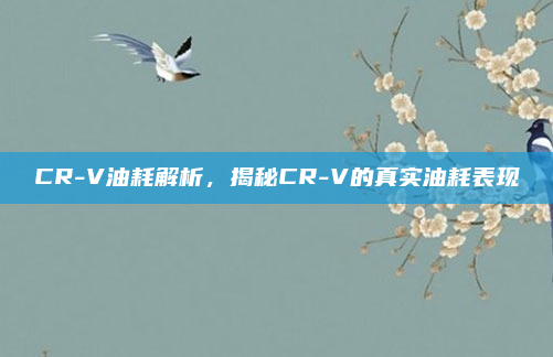 CR-V油耗解析,揭秘CR-V的真实油耗表现