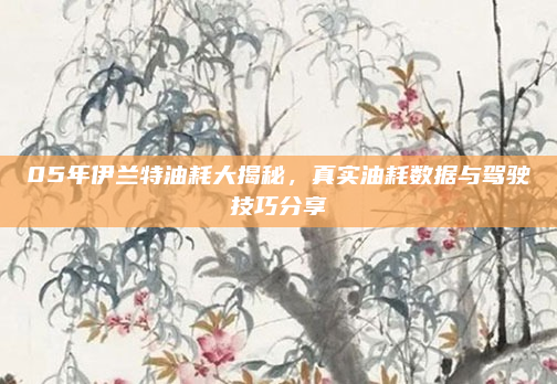 05年伊兰特油耗大揭秘,真实油耗数据与驾驶技巧分享