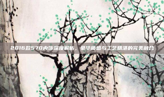 2016款570内饰深度解析，豪华质感与工艺精湛的完美融合