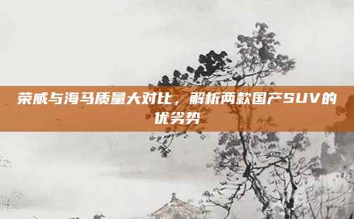 荣威与海马质量大对比，解析两款国产SUV的优劣势