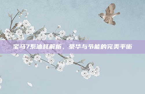 宝马7系油耗解析，豪华与节能的完美平衡