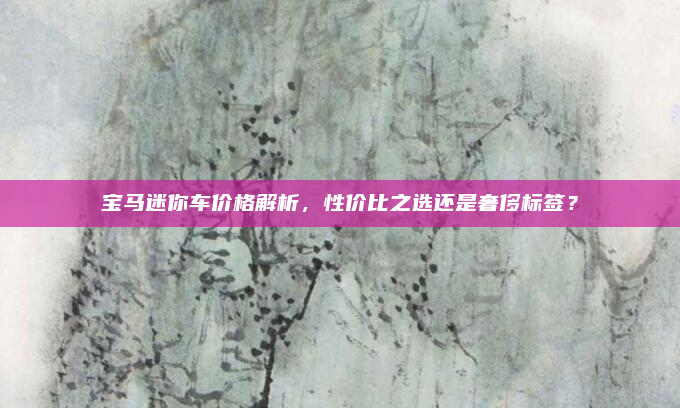 宝马迷你车价格解析，性价比之选还是奢侈标签？