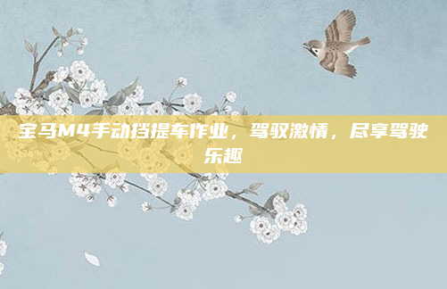 宝马M4手动挡提车作业，驾驭激情，尽享驾驶乐趣